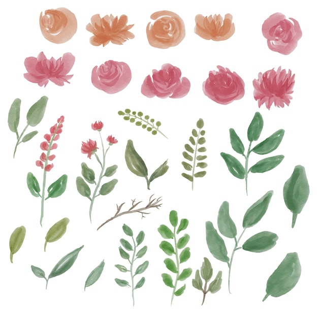 Watercolor flower and leaf elements