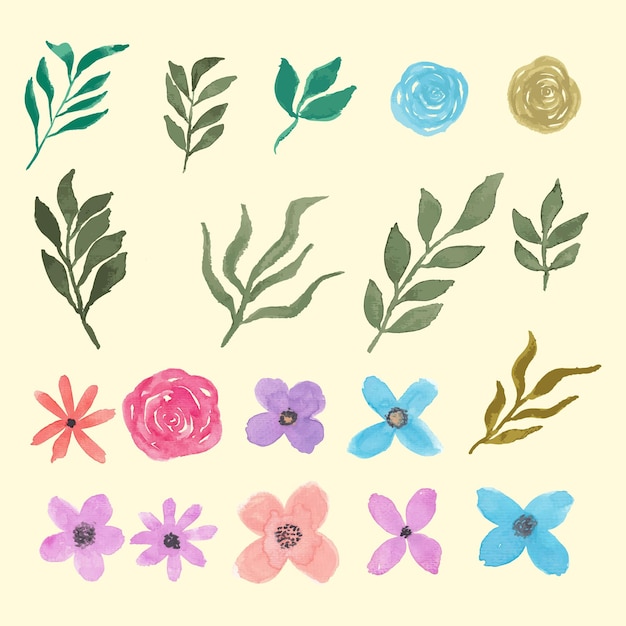 Illustrazione dell'acquerello di fiori e foglie