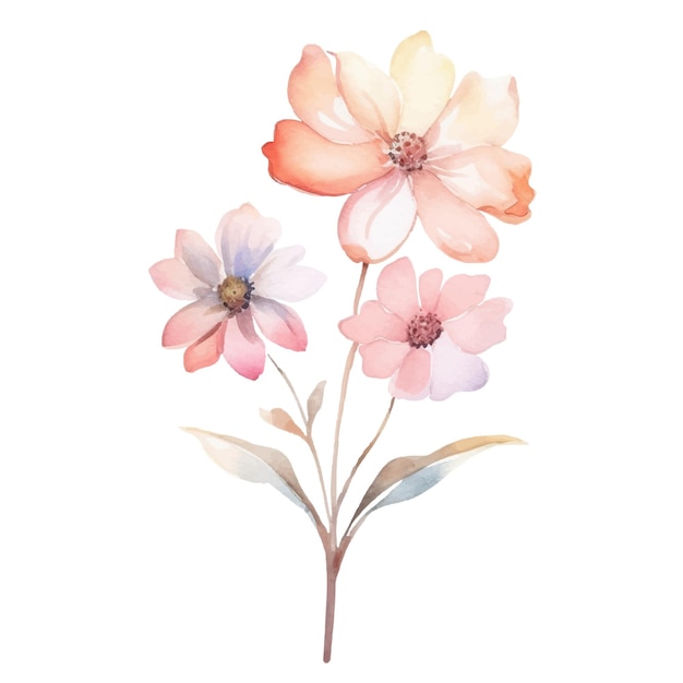 Watercolor Flower Plant Illustration