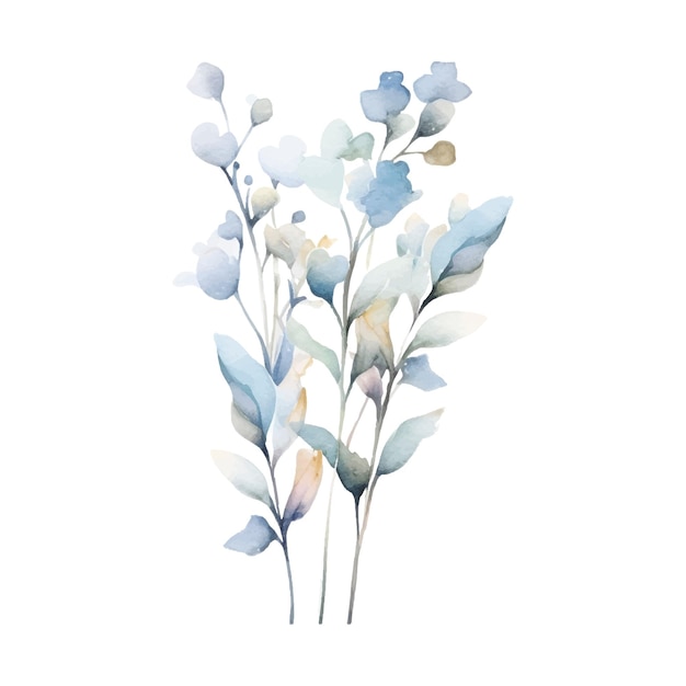 Watercolor Flower Plant Illustration