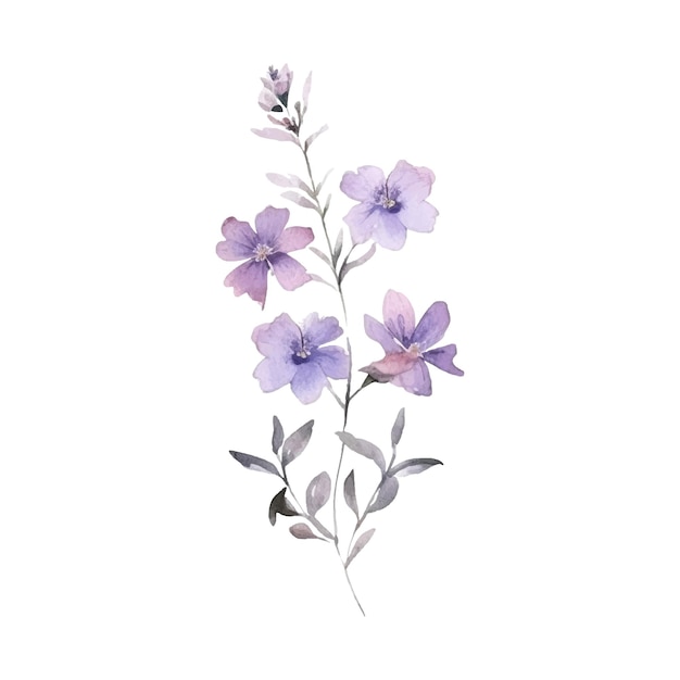 Vector watercolor flower plant illustration