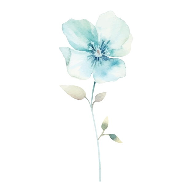 Watercolor Flower Plant Illustration