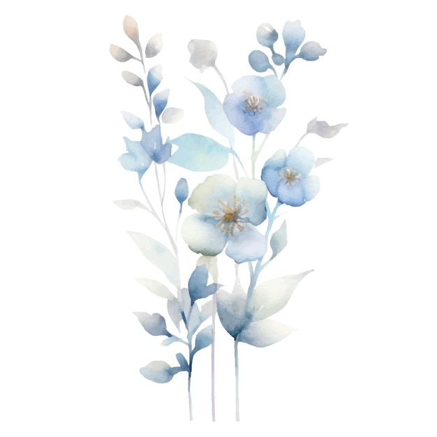 Watercolor Flower Plant Illustration