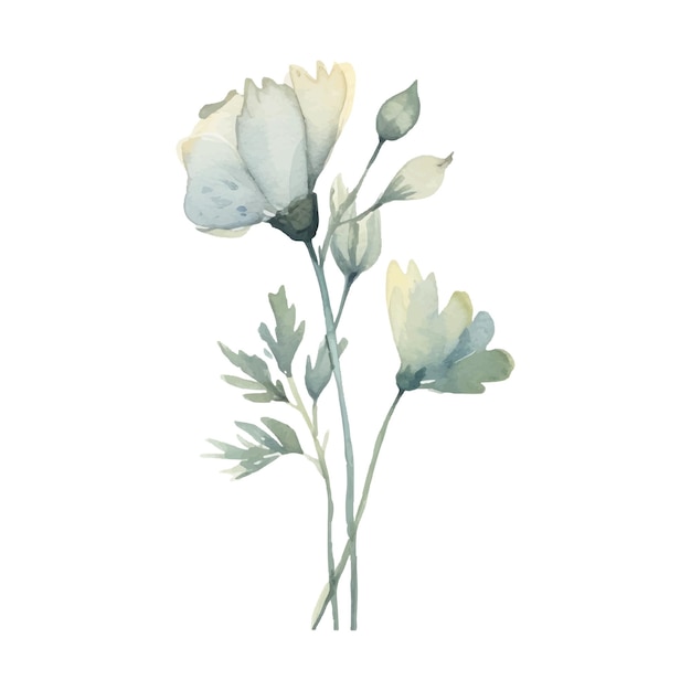 Watercolor Flower Plant Illustration