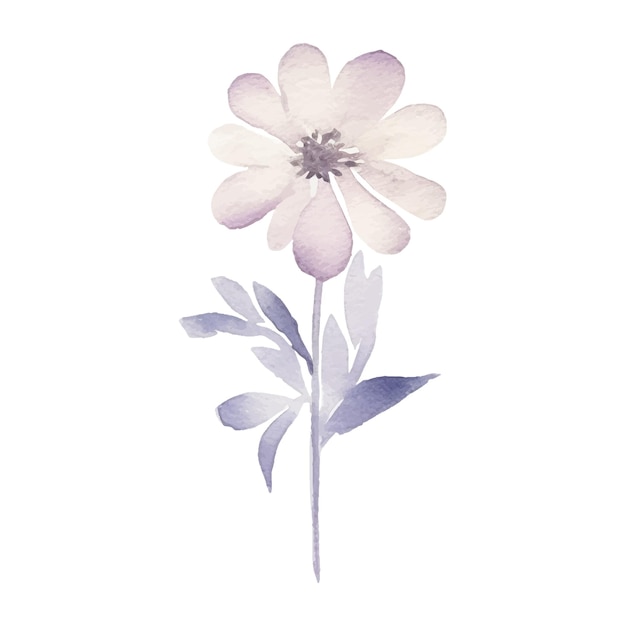 Vector watercolor flower plant illustration