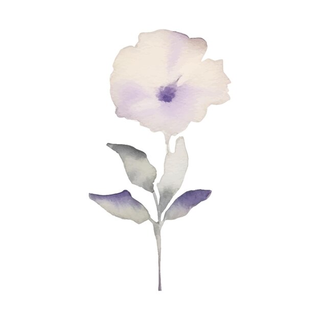 Watercolor Flower Plant Illustration