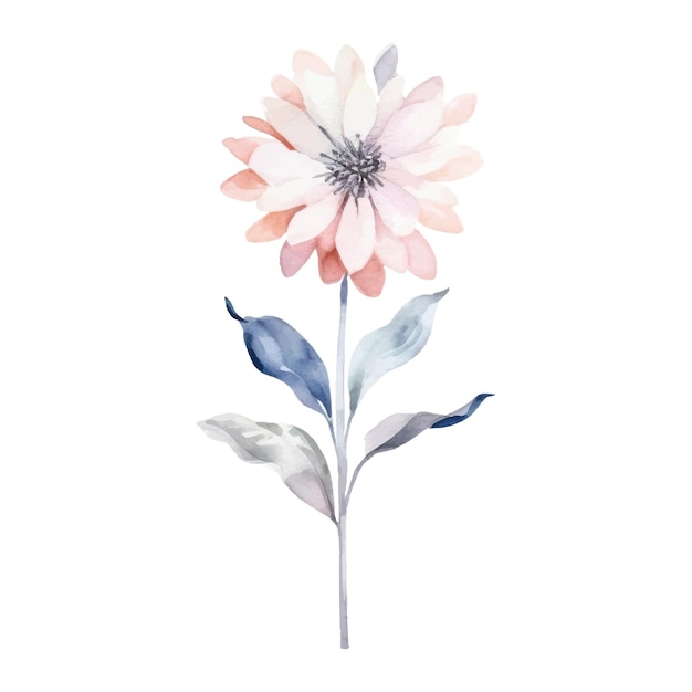 Watercolor Flower Plant Illustration