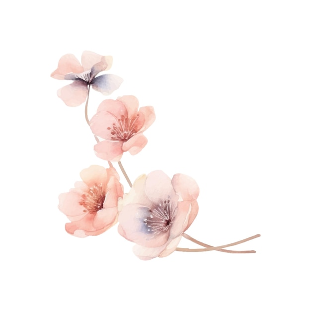 Watercolor flower plant illustration