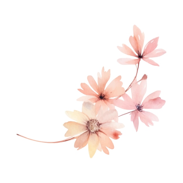 Watercolor Flower Plant Illustration
