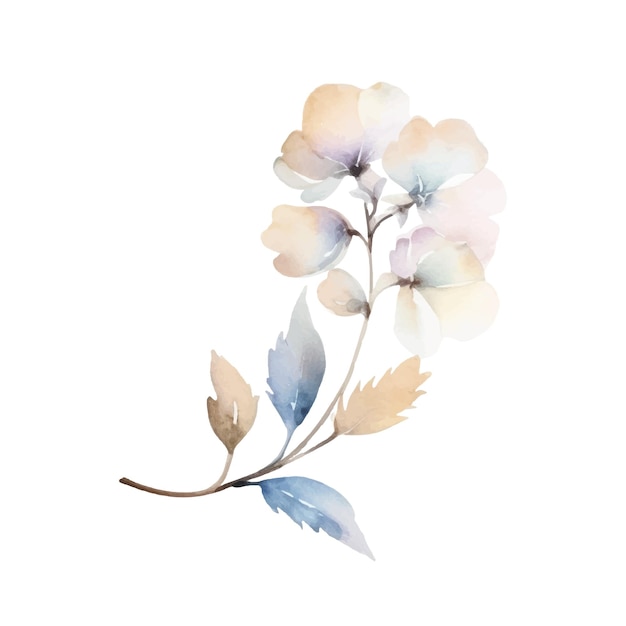 Watercolor Flower Plant Illustration