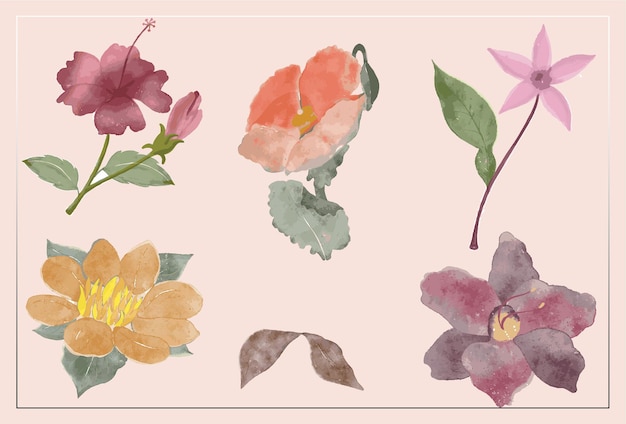 Watercolor flower set