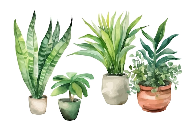 Watercolor flowerpot collection Home plants vector illustration