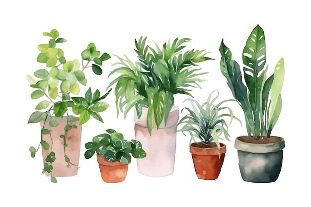 水彩の花鉢コレクション 家庭植物のベクトルイラスト