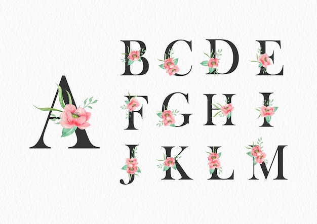 Watercolor flowers on alphabet A to M template