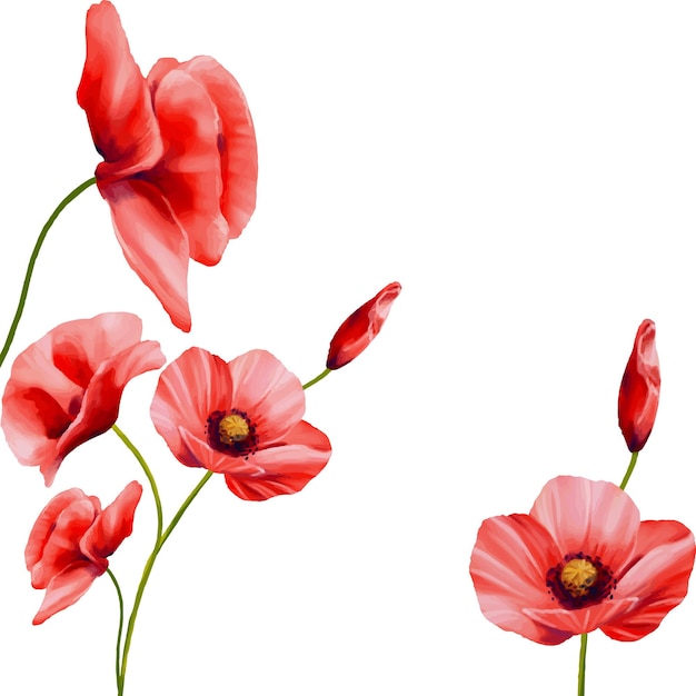 watercolor flowers are red and pink