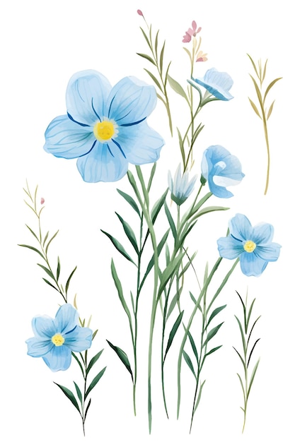 Clipart dell'illustrazione botanica dei fiori dell'acquerello