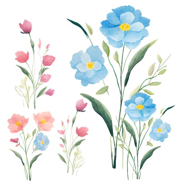 Clipart dell'illustrazione botanica dei fiori dell'acquerello