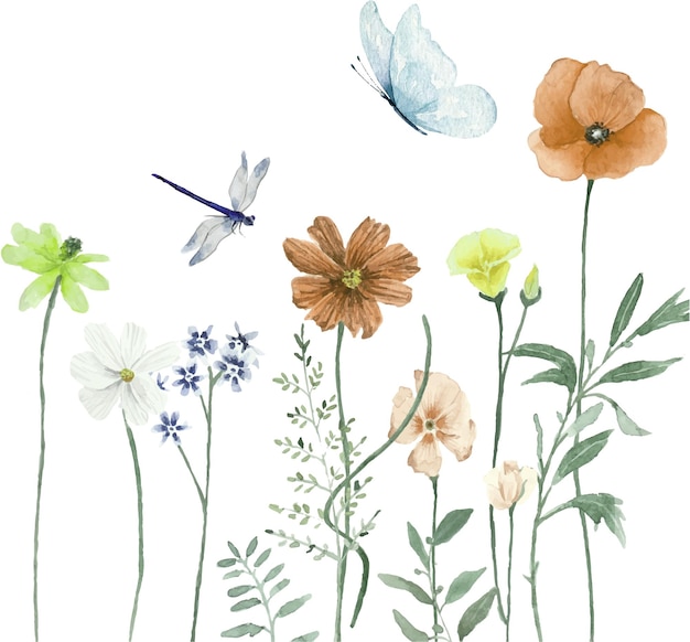 Vector watercolor flowers and butterflies on white background hand drawn illustration