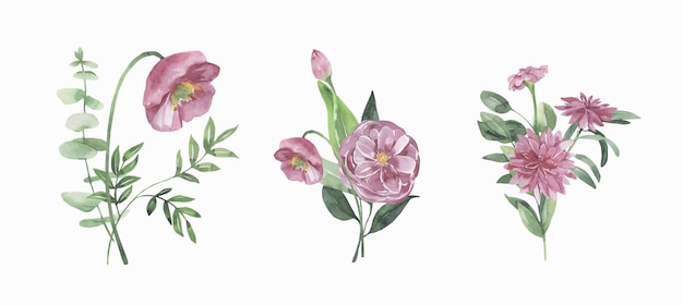 Watercolor flowers  collection.