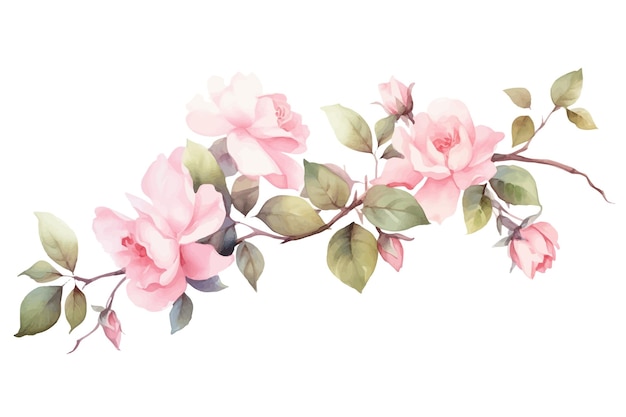 Watercolor flowers flat handdrawn illustration isolated on white background