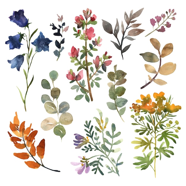 watercolor flowers hand drawn colorful beautiful floral set with pink red blue blossom plant vector