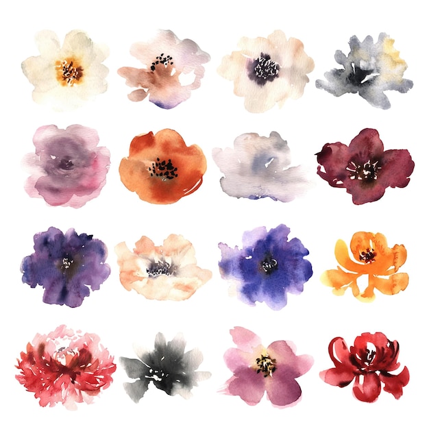 Watercolor flowers hand drawn colorful beautiful floral set with pink red blue blossom plant vector