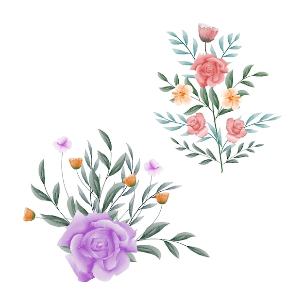 Vector watercolor flowers and leaf collection