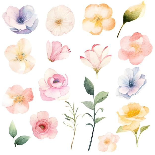 watercolor flowers and leaves clipart collection