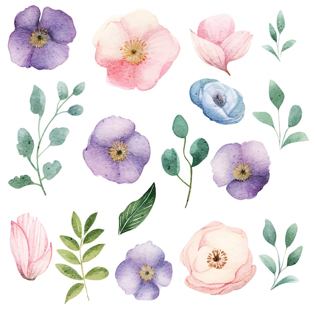 watercolor flowers and leaves clipart collection