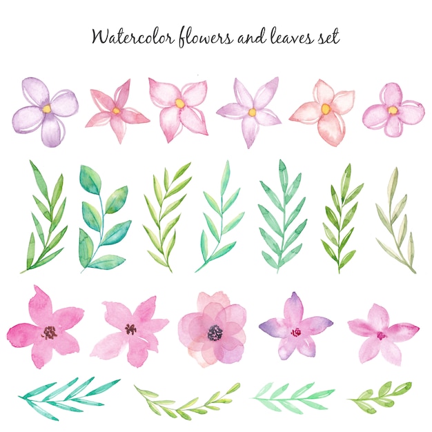 Watercolor flowers and leaves collection