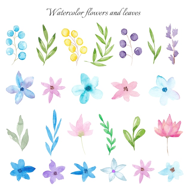 Watercolor flowers and leaves collection