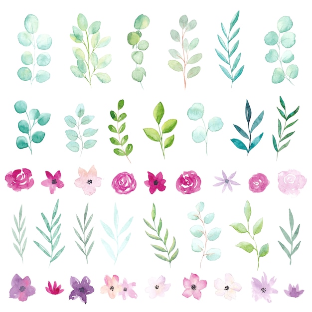 Watercolor flowers and leaves set