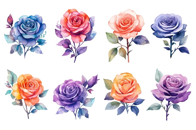 watercolor flowers rose set