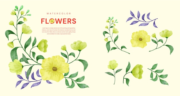 watercolor flowers set