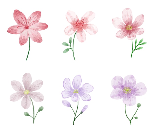 Watercolor flowers set