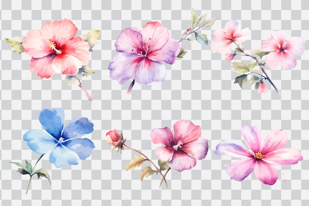 Watercolor flowers on a transparent background.