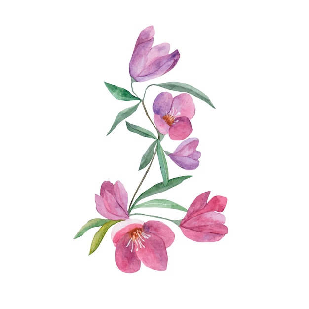 Watercolor flowers. A twig with buds watercolor. Purple flowers.