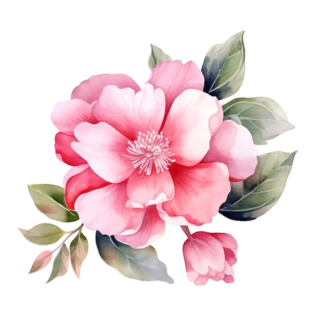 벡터 ⁇ 색 배경 에 수채화 된 꽃 꽃줄기