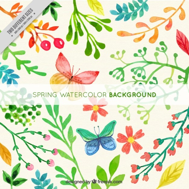 Vector watercolor flowery background with butterflies