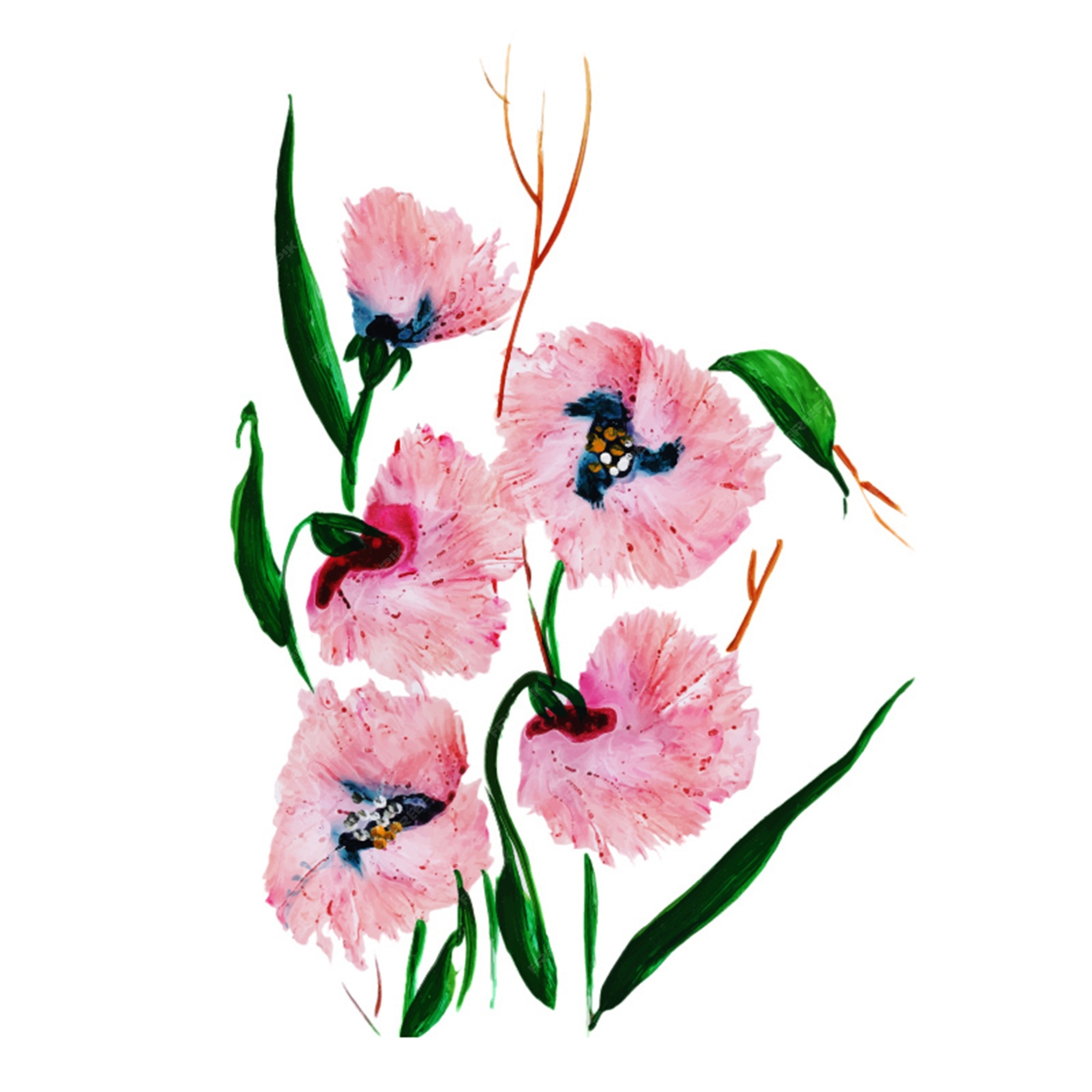 Premium Vector | Watercolor flowrers