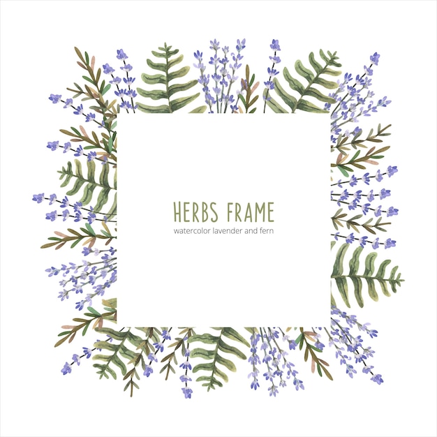 Watercolor frame of herbs on a white background