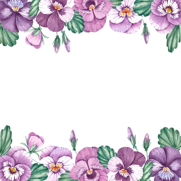 Vector watercolor frame of pansies on a white background