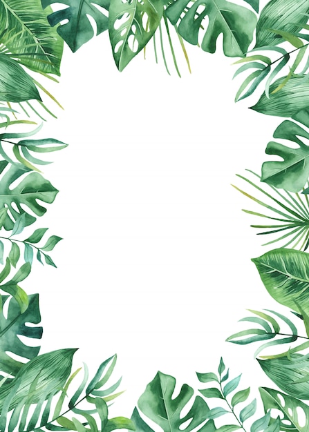 Vector watercolor frame tropical leaves and flowers