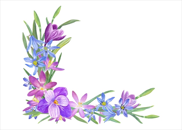 Vector watercolor frame with scillas daffodils crocus graphic design spring illustration blue violet purple flowers