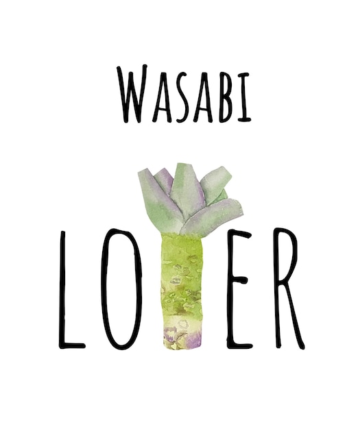 Watercolor fresh wasabi Asian kitchen spices and herbs Wasabi lover. Wasabi root Japanese spices