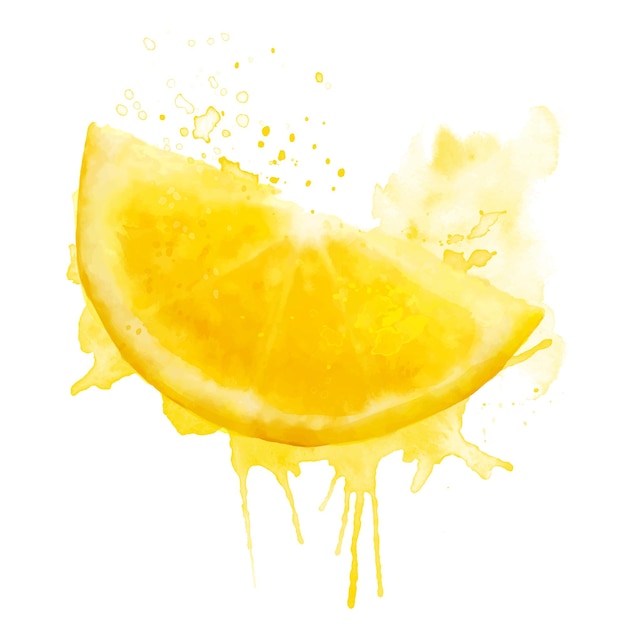 Vector watercolor fresh yellow summer illustration of lemon slice isolated illustration on a white