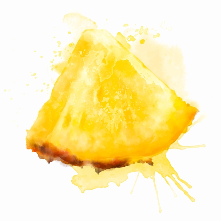 Vector watercolor fresh yellow summer illustration of pineapple slice isolated illustration on a white