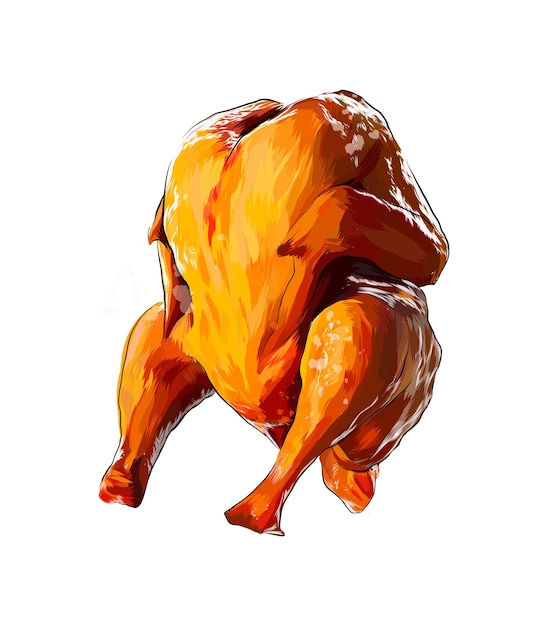 Vector watercolor fried whole chicken on white