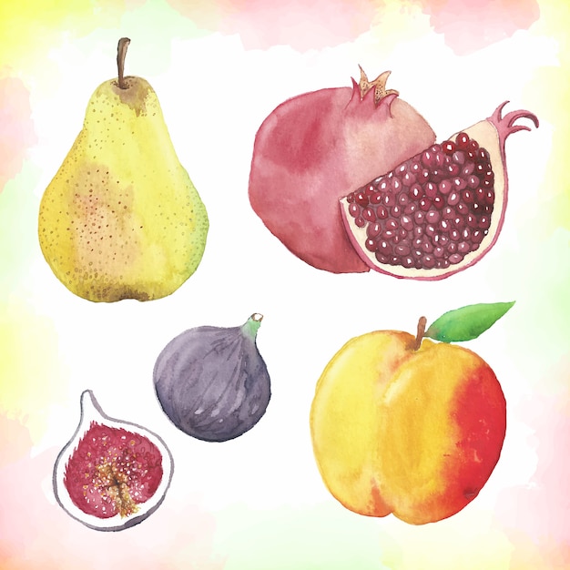 Watercolor Fruit Collection