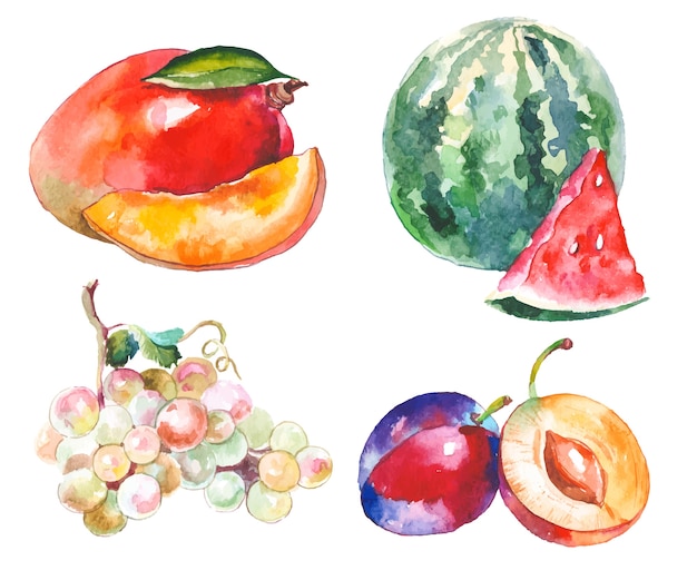 Watercolor fruits isolated on white